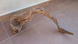 Tronco Raíz XXL para Terrario