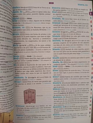 Diccionario Lengua Española
