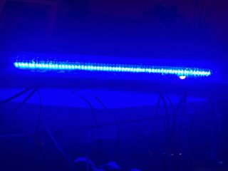 Arrecife LED Acuario Marino Transparente