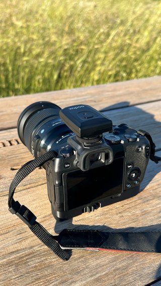 Canon EOS RP + Sigma Art 24-105mm f/4 DG DN