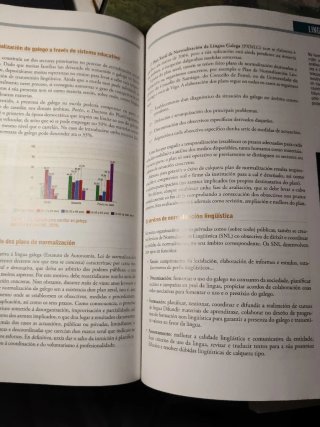 Lingua e Literatura, 2 bacharelato