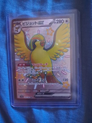 Pidgeot EX Shiny Carta Pokémon