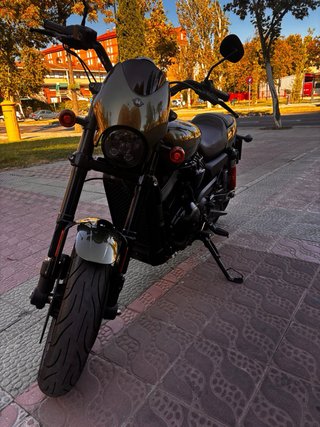 Moto Harley Street Road 750. 2017
