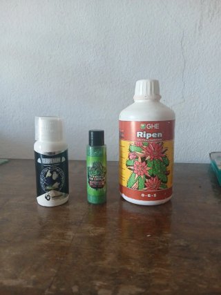 Lote productos cultivo: Terpenum, Big Boom, Ripen