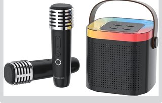 altavoz karaoke 2 micrófonos inalámbricos