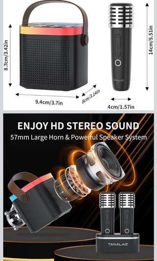 altavoz karaoke 2 micrófonos inalámbricos