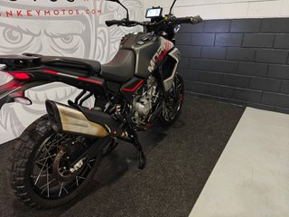 MOTO MORINI 450 ALLTRHRIKE 2026 3.955KMS