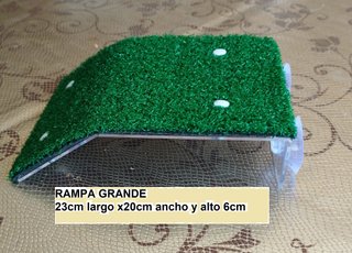 Rampa grande plataforma para tortugas