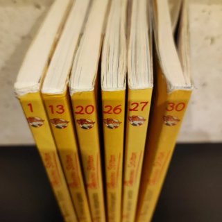 Pack lote de 6 libros de Gerónimo Stilton