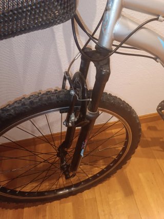 Bicicleta Montaña/Paseo Plata. Venta en persona