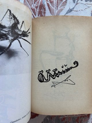 Confesiones inconfesables. Salvador Dalí