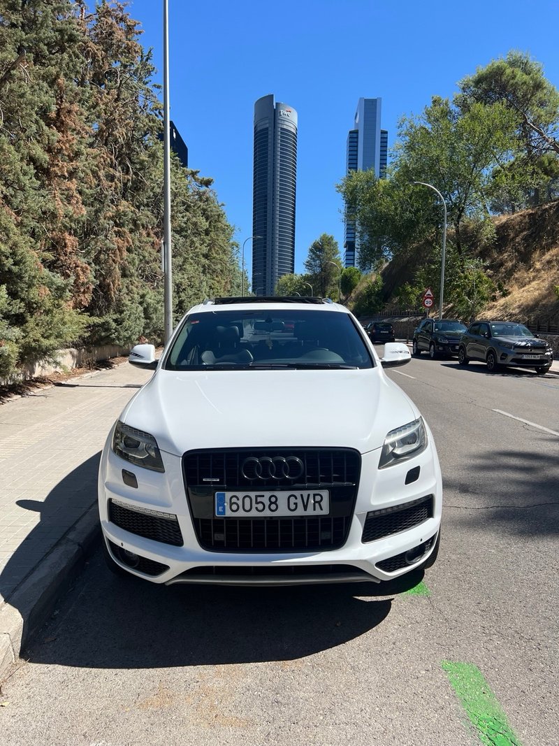 Audi Q7 2010, foto 2