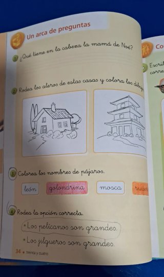 Libro de Lecturas 1o (Pequeño Noe)