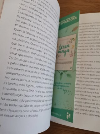 Terra Maya (Portuguese Edition)