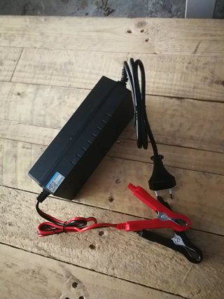 Cargador bateria litio LiFePO4 con pinzas 10a