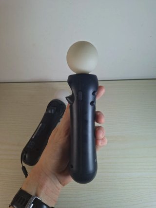 Coppia Playstation Move Controller Sony