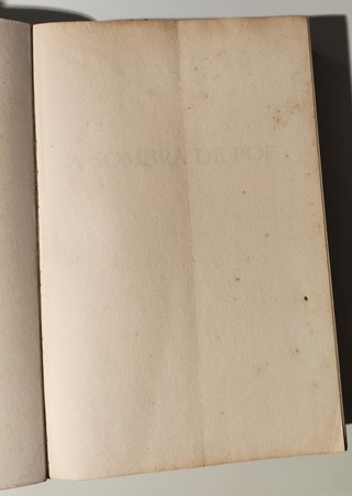 A Sombra de Poe (Portuguese Edition)