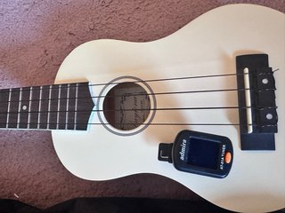Ukelele Daytona blanco con funda
