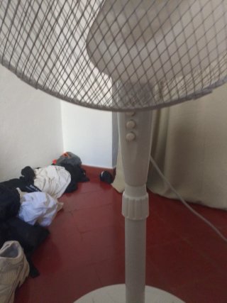 Ventilador PRITECH Blanco