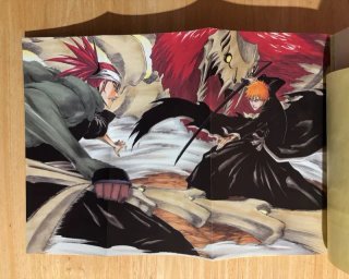 Pack BLEACH: 4 Official Books + Extras