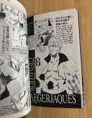 Pack BLEACH: 4 Official Books + Extras
