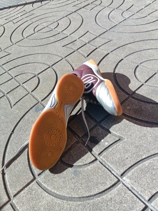 Zapatillas Futsal Nike Marrón y Plata