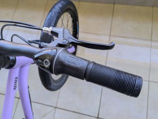 Bici Early Rider 20 Belter