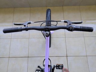 Bici Early Rider 20 Belter