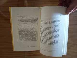 Seda -V3*