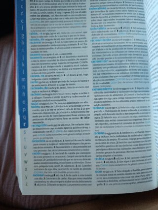 Diccionario Avanzado Primaria. Lengua española