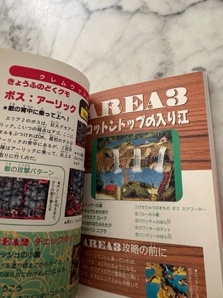 Guide Donkey Kong Country 3 Snes Superfamicom JP