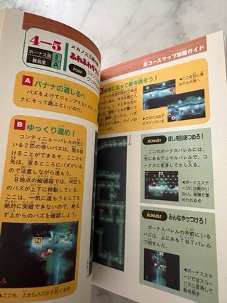 Guide Donkey Kong Country 3 Snes Superfamicom JP