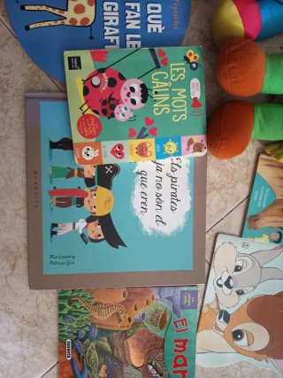 llibres