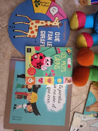 llibres
