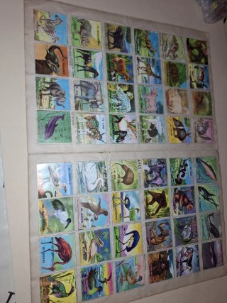 Album COMPLETO Mundo Zoologico Fher años 50