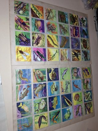 Album COMPLETO Mundo Zoologico Fher años 50