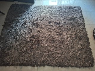 Recogida en Catral 03158 Alfombra Shaggy Gris Poli