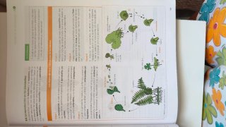 Biología, Geología y Ciencias Ambientales 1 Bac...