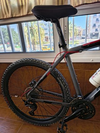 Bicicleta marca Focus  Talla M COMO NUEVA