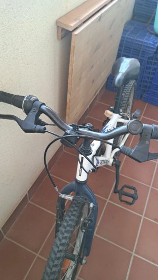 Bicicleta infantil ST120