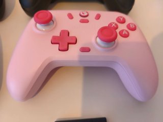 2 Controller GameSir Nova Lite (Nero e Rosa)