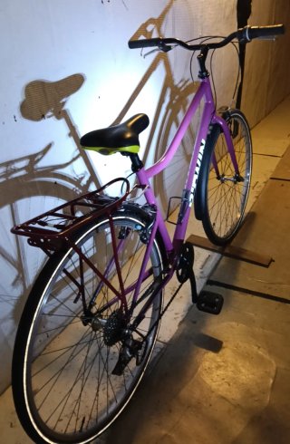 Bicicleta Paseo 29 con Guardabarros y Parrilla