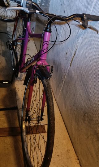 Bicicleta Paseo 29 con Guardabarros y Parrilla
