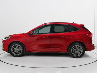 Ford Kuga 1.5 EcoBoost S&S ST-Line 4x2 110 kW (150 CV)