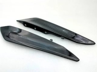 Carenado trasero Carbono Ducati Panigale 959 1299
