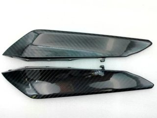 Carenado trasero Carbono Ducati Panigale 959 1299