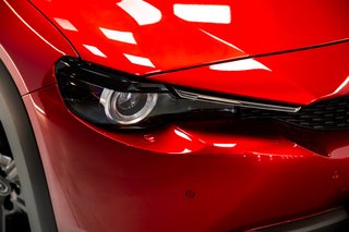 MAZDA MX-30 eSKYACTIVE 105kW Evolution Modern