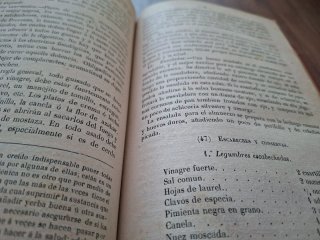 LIBRO ANTIGUO DE MEDICINA - 1876