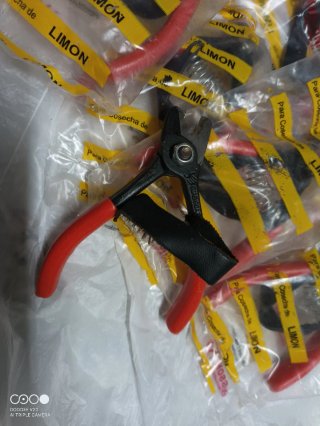 Tijeras Cosecha Limón Naranja Cítricos