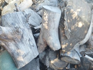 Leña de pino para chimenea